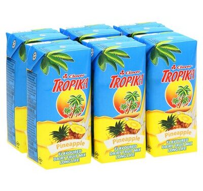 Tropika pine
